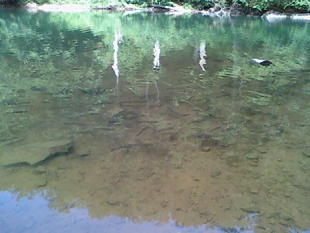 090611_150527.jpg