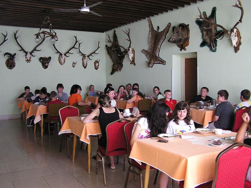P1010019.jpg
