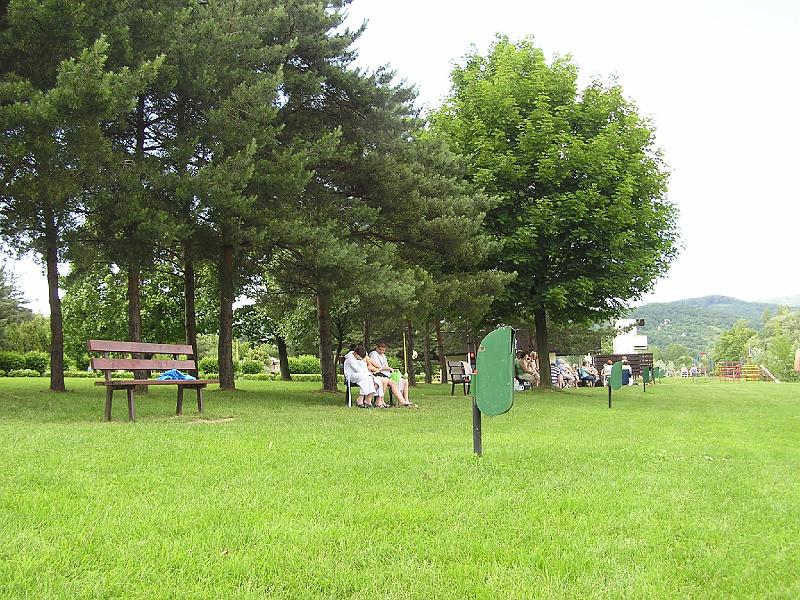 P1010022.jpg