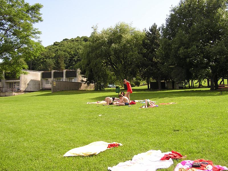 P1010037.jpg