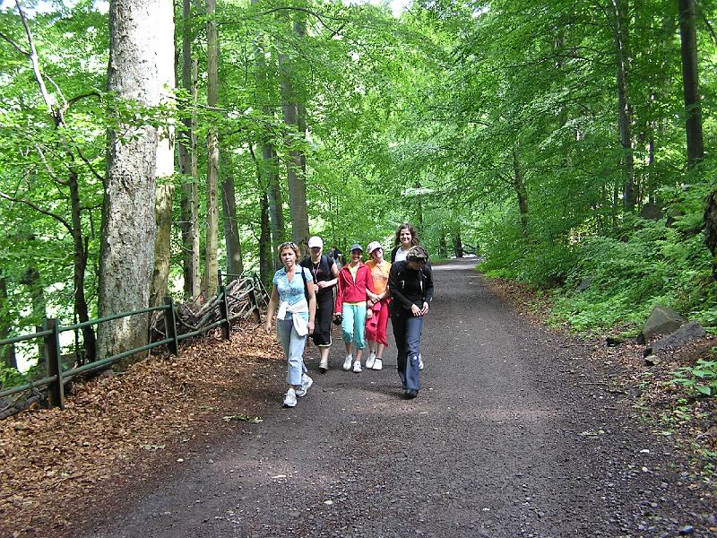 P1010083.jpg