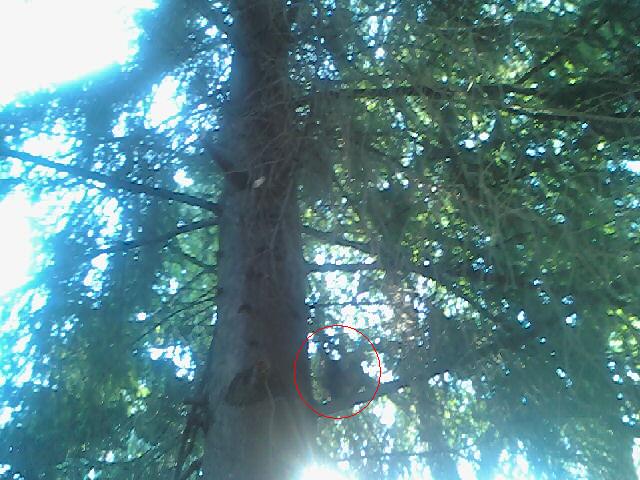 090617_073111.jpg