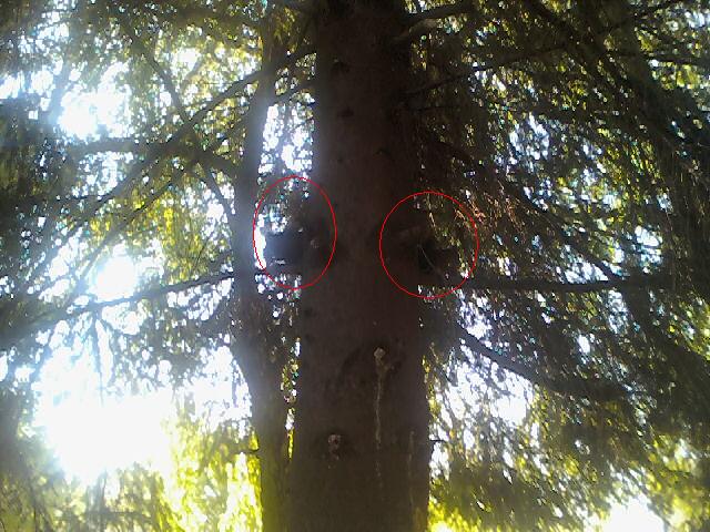 090617_073148.jpg