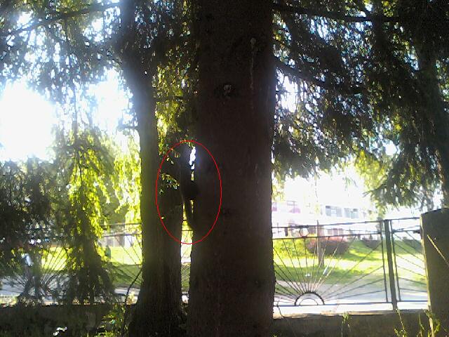 090617_073154.jpg