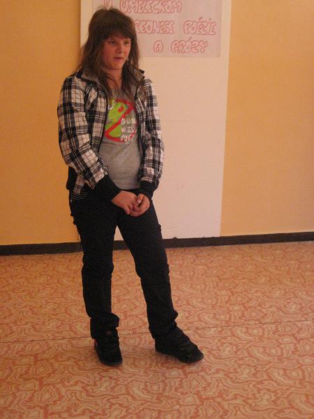 hviezdoslav1.jpg