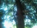 090617_073128.jpg