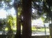 090617_073154.jpg